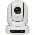 BIRDDOG Eyes P200W