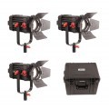 Came-TV F-100S-3KIT
