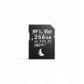 Angelbird AV PRO SD MK2 256 GB V60