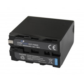 Digitex DGT-F980D (x2)