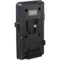 CoreSWX V-Mt Plate