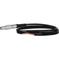 Core SWX JP-LEADS 12" 5V Cable with Flying Leads