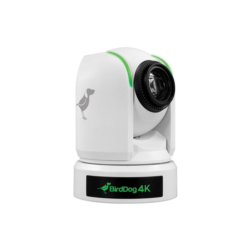 BirdDog P4K White. 4K 10-Bit Full NDI PTZ with 1" Sony Sensor.-C&Aacute;MARAS PTZ-Apodax