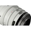 DZOFilm Catta 35-80mm T2.9 E-Mount Óptica de Cine Zoom (blanco)