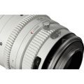 DZOFilm Catta 35-80mm T2.9 E-Mount Óptica de Cine Zoom (blanco)
