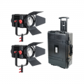 CAME-TV B100W-MK2-2KIT