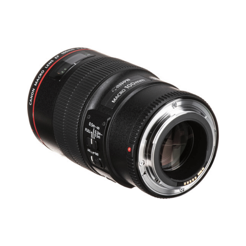 Canon EF 100 mm f:2.8 L IS USM Macro-&Oacute;PTICAS FIJAS FOTO-Apodax