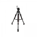 Cartoni Focus 12 SDS CF