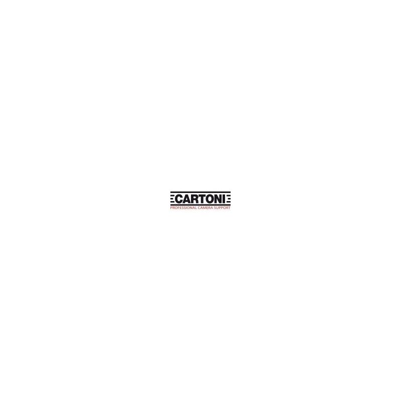 CARTONI FOCUS 18 Sistema EFP 2-St ALU-KITS DE TR&Iacute;PODE-Apodax