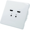 BirdDog Wallplate Dual Output