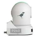 BirdDog P240. 1080P Full NDI