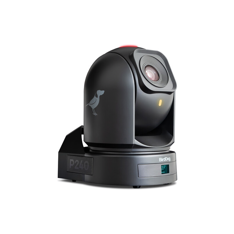BirdDog P240. 1080P Full NDI PTZ Camera-C&Aacute;MARAS PTZ-Apodax
