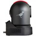 BirdDog P240B