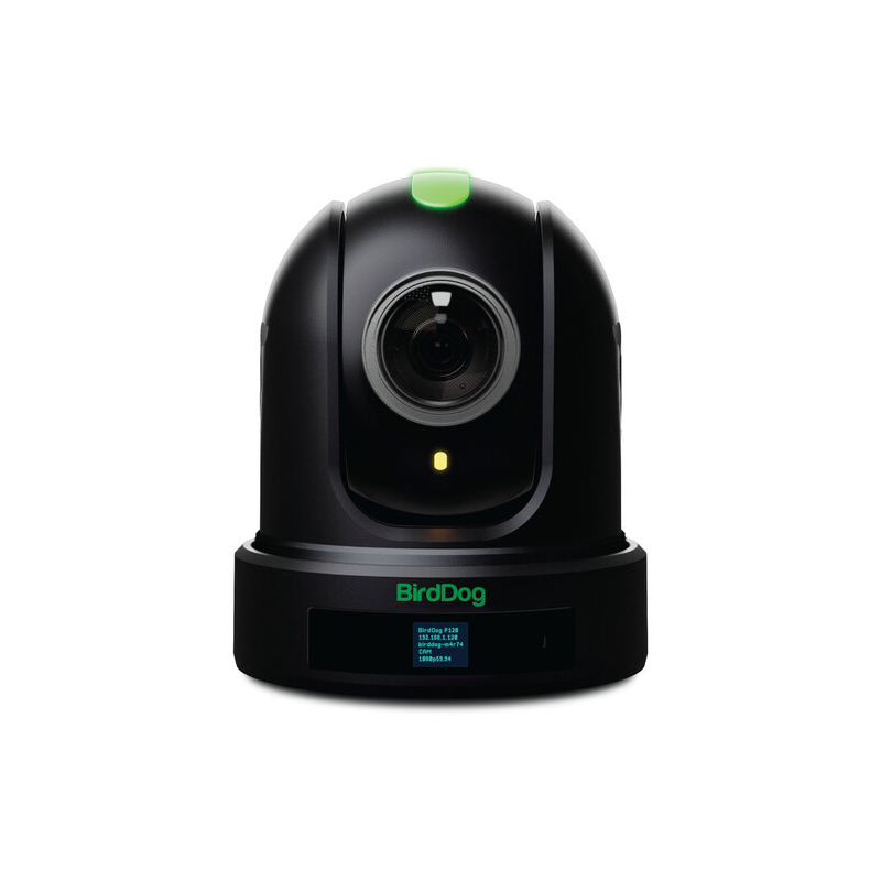 BirdDog P110 - Black. 1080P PTZ Camera-C&Aacute;MARAS PTZ-Apodax