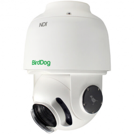 BirdDog Eyes A200 gen 2
