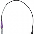 TERADEK MDR.X Run|Stop Cable - LANC