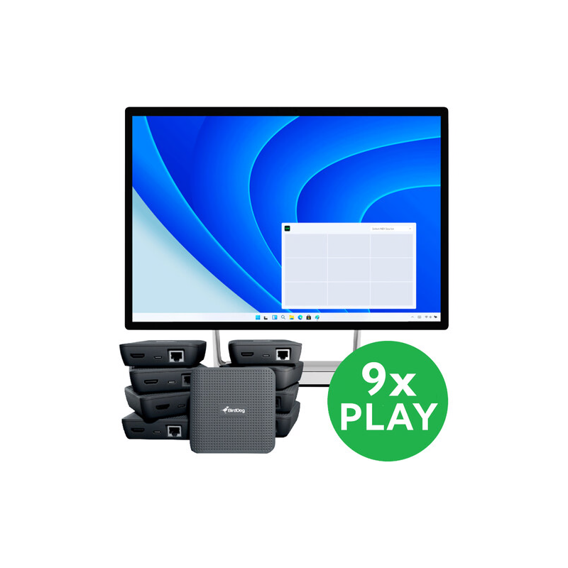 BirdDog VideoWall Bundle.-BirdDog-Apodax